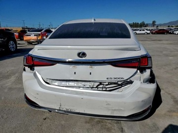 Lexus ES VII (XV70) 2024 Lexus ES 300h Base 2024 2.5 Hybryda 215KM, zdjęcie 2