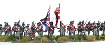Victrix Waterloo British Infantry Centre Companies Victrix