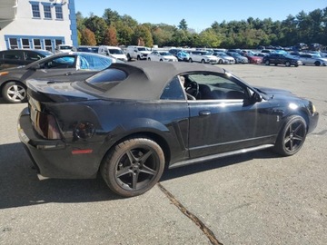 Ford Mustang IV 1999 Ford Mustang Cobra Svt 1999 4.6l 4.6 Benzyna 320KM, zdjęcie 3