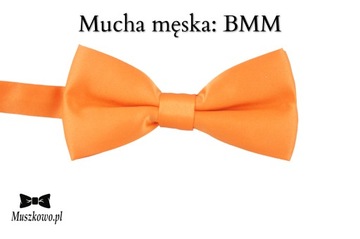 Подтяжки RAINBOW и галстук-бабочка с разноцветными полосками, регулируемые.