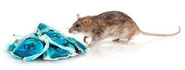 МУРИБРОМ БРОДИФАКУМ ПАСТА СИЛЬНЫЙ ЯД ДЛЯ МЫШЕЙ И КРЫС ПАСТА-САШЕ 1 КГ