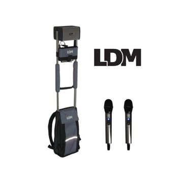 LDM MobileVoice D216+ 2 mikrofony doręczne Zestaw Pielgrzymkowy