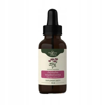 Echinacea jeżówka nalewka 50ml