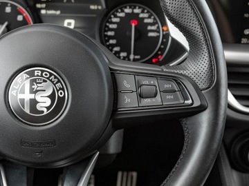 Alfa Romeo Stelvio SUV Facelifting 2.0 Turbo 280KM 2022 Alfa Romeo Stelvio WJ8414K#2.0 Turbo Veloce Q4, zdjęcie 16