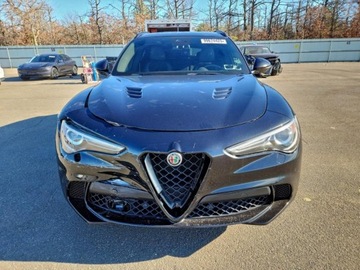 Alfa Romeo Stelvio 2019 Alfa Romeo Stelvio Alfa Romeo Stelvio Quadrifoglio AWD 2019 od ubezpieczal, zdjęcie 5