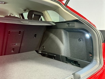 Volkswagen Golf VIII 2025 Volkswagen Golf Volkswagen Golf 1.5 eTSI mHEV 110, zdjęcie 11