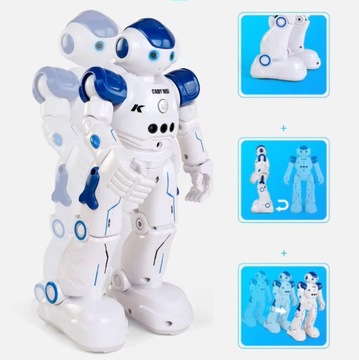 ИНТЕЛЛЕКТУАЛЬНЫЙ РУ РОБОТ С ДИСТАНЦИОННЫМ УПРАВЛЕНИЕМ ЖЕСТАМИ С ПОМОЩЬЮ ДИСТАНЦИОННОГО ПРОГРАММИРОВАНИЯ ПАТРУЛЯ