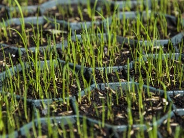 Решетка пластиковая дорожная ажурная пластина 200 шт SG1B