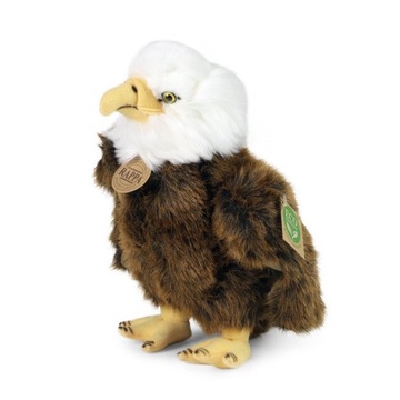 Maskotka EKO Realistyczna ORZEŁ Bielik Ptak 24 cm