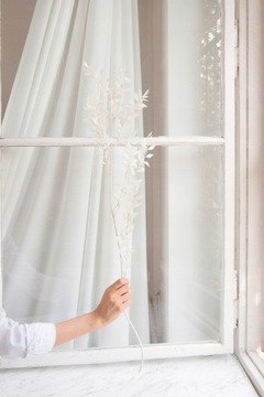 RUSKUS BIELONY RUSZCZYK do wazonu RUSCUS suszony