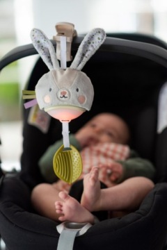 Музыкальная шкатулка Garden Rabbit Taf Toys - Музыкальная игрушка со светом