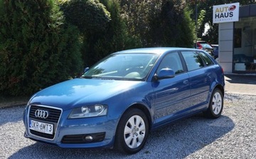Audi A3 8P Hatchback 3d 2.0 TDI CR 140KM 2009