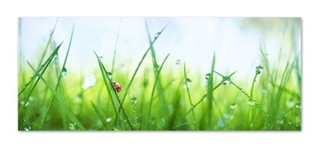 Panel hartowany lacobel grafika 150x60 cm PAN