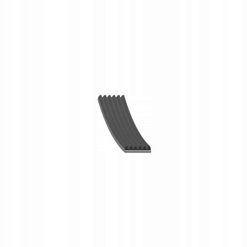 FEBI 38425 PASEK KLINOWY WIELOROWKOWY