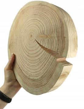 Okorowany Plaster drewna Krążek Modrzewia 25-30cm/gr.4cm/Szlif
