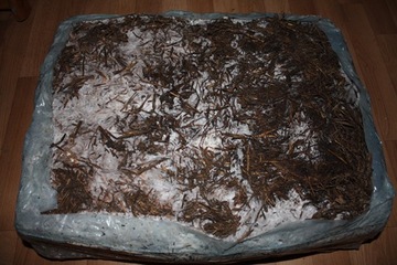 КОРИЧНЕВЫЙ ГРИБ МИКЛ+ТОРФ 24кг куб для выращивания грибов в домашних условиях