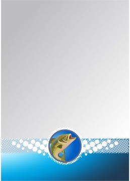 Диплом бумажный РЫБАЛКА рыбка А4