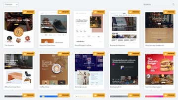 WP Ракета. Элементор ПРО. Йост SEO. Астра Сайты
