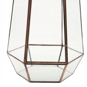 1 х геометрический террариум