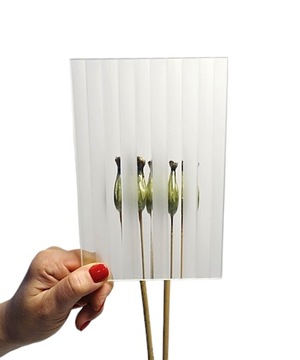 Szyba do drzwi wewnętrznych szkło flutes matowy 4 mm ryflowane 44x44 cm