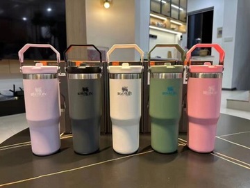 Кружка для термальной воды Stanley IceFlow