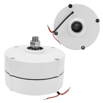 ALTERNATOR Z MAGNESAMI TRWŁYMI 300W 12V