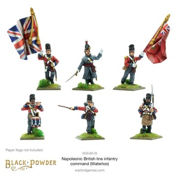 British Line Infantry command (Waterloo campaign)