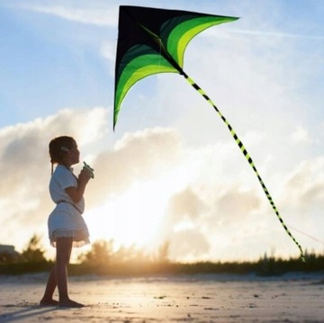 Большой воздушный змей для взрослых и детей.