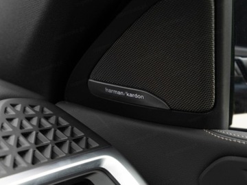 BMW X6 G06 SUV Facelifting 3.0 30d 298KM 2025 xDrive30d Sport Suv 3.0 (298KM) 2025, zdjęcie 12