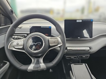 BYD 2025 BYD Dolphin Surf, zdjęcie 14
