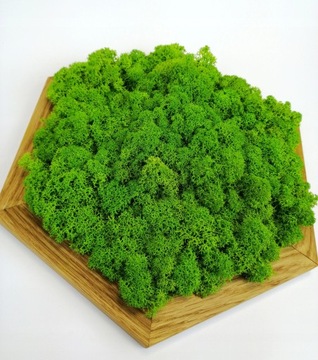 СТЕКЛЯННАЯ КАРТИНА ИЗ МХА ДЛЯ СТЕНЫ ОЛЕНЬ