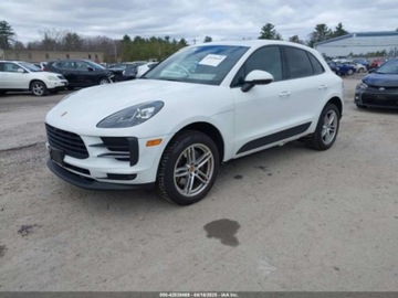 Porsche Macan 2021 Porsche Macan 2021 2.0l 2.0 Benzyna 248KM, zdjęcie 1