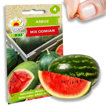 Nasiona arbuz mix odmian 1 g