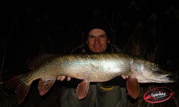 Эксклюзивные петухи Spinlife Zander