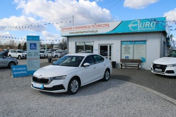 Skoda Octavia IV Liftback 2.0 TDI 115KM 2021 Škoda Octavia Skoda Octavia F-Vat Salon Polska