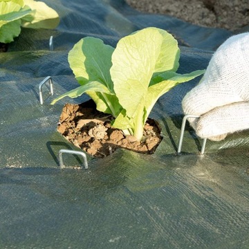 RST RACE DEPT FACTORY WHITE OS ЛОКОВЫЕ СЛАЙДЕРЫ (1929)