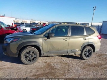 Subaru Forester VI 2025 Subaru Forester Wilderness 2025 2.5 Benzyna 182KM, zdjęcie 2