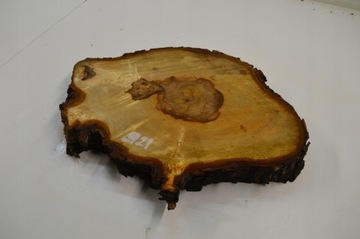 Большой выбор ломтиков каштана с капом 43х33гр4см