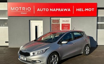 Kia Ceed II Hatchback 5d Facelifting 1.4 DOHC 100KM 2015 Kia Ceed II 2015, Klima, Alu, zarejestrowany w Polsce, VAT-marza 1.4, zdjęcie 3