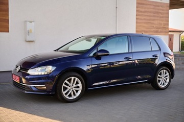 Volkswagen Golf VII Hatchback 3d Facelifting 1.6 TDI-CR DPF BMT 115KM 2019 VW GOLF VII 1.6 diesel 115KM Navi DVD led Alu16 zarejestrowany w Polsce, zdjęcie 8