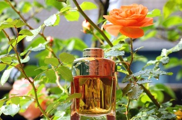 BENTLEY ДЛЯ МУЖЧИН INTENSE EDP 100 МЛ ОРИГИНАЛ
