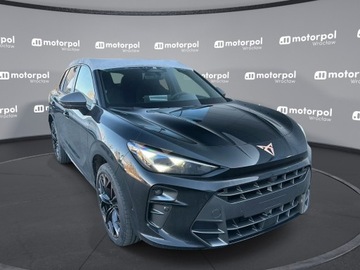 Cupra Terramar 2025 Cupra Terramar 2.0 TSI 204 KM 4drive, zdjęcie 11