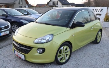 Opel Adam Hatchback 1.2 70KM 2013 Opel Adam Bezwypadkowe - z instalacja LPD - niski przebieg - 1 wlasciciel, zdjęcie 11