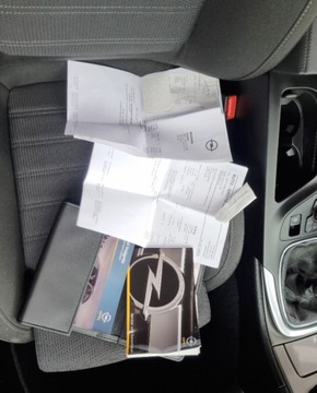 Opel Insignia I Sedan 1.6 Twinport ECOTEC 115KM 2009 Opel Insignia 1,6 Ben 115 KM Ksenon 1.6 Benzyna 115KM, zdjęcie 18