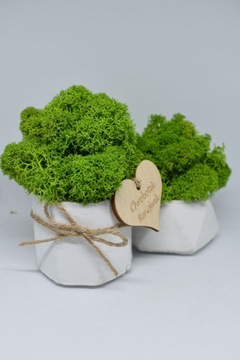 Подарочный набор «Рубильный лес»