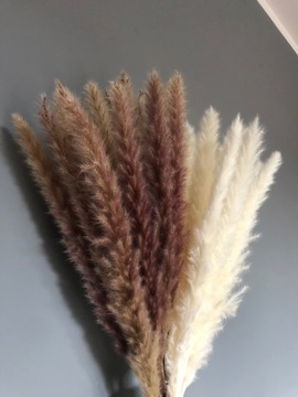 ПУШИСТАЯ ПАМПАССНАЯ ТРАВА ДЛЯ ВАС, БУКЕТ, 60СМ