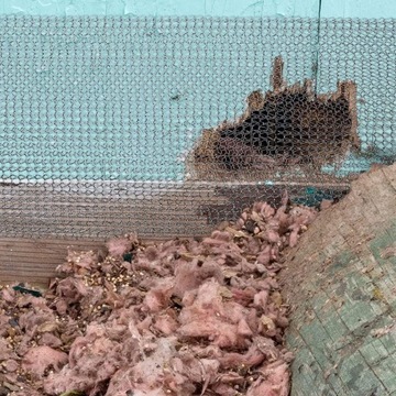 Сетка грызунов, металлическая сетка из нержавеющей стали, для сада