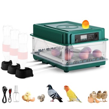 Inkubator z klujnikiem 30