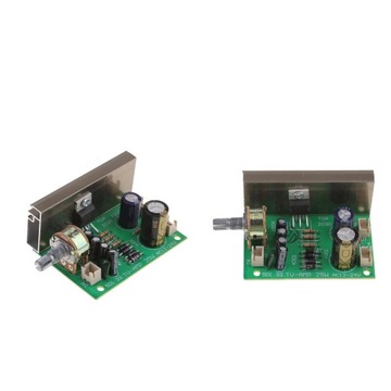 2x Mono Moduł Wzmacniacza Audio Płytka
