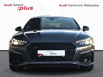 Audi A5 B10 2024 Audi S5 Sportback panorama, head up, kamery 360, hak, matrixy, aktywny tem, zdjęcie 1